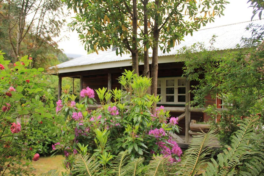 Posada Queulat Puerto Puyuguapi Zimmer foto
